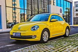 沈旭爆料甲壳虫视频大全,甲壳虫视频大全背后的精彩瞬间  第1张